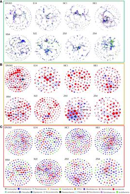 Soil microbial community assembly and stability are associated with potato (Solanum tuberosum L.) fitness under continuous cropping regime